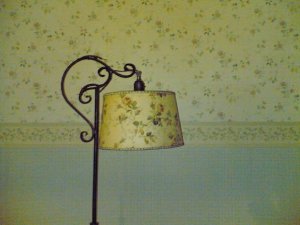 Vintage lampshade accidentally matches wall paper in new house....